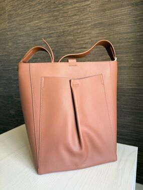 Everlane Leather Tote (The Studio Bag)